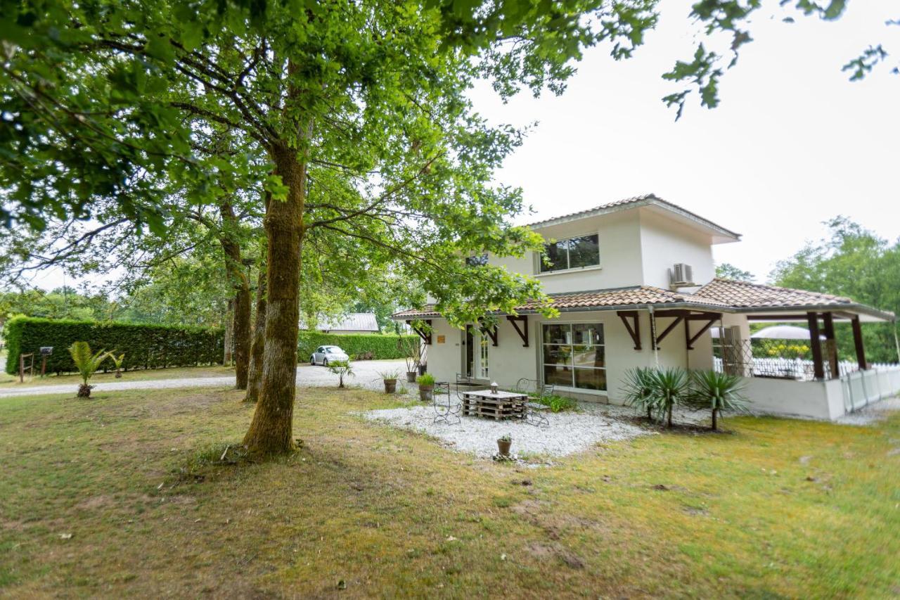 La Villa Minvia Les Landes Entre Mer Et Montagne Saint-Vincent-de-Paul  Kültér fotó