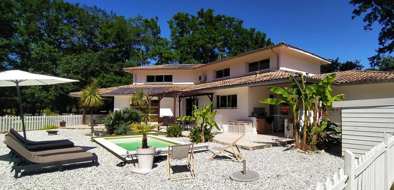 La Villa Minvia Les Landes Entre Mer Et Montagne Saint-Vincent-de-Paul  Kültér fotó